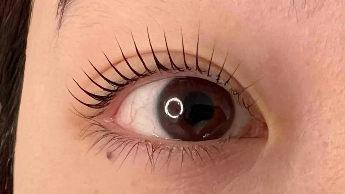 ラッシュリフト(上)の写真