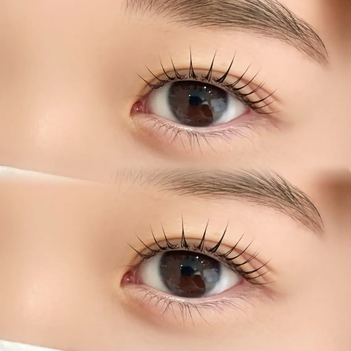 マツエク・マツパ マツパ well eye🪞 yumiのマツエク・マツパデザイン