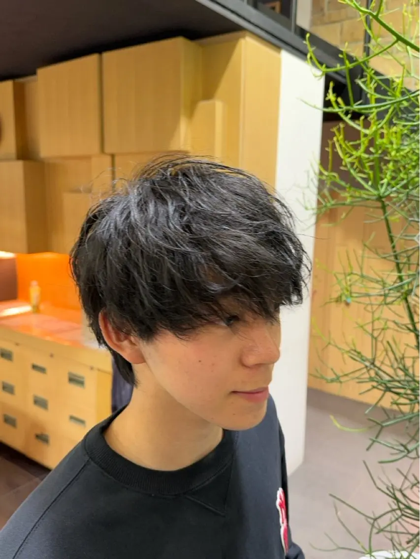 メンズ レイヤーカット メンズカット坂本翔のヘアスタイル