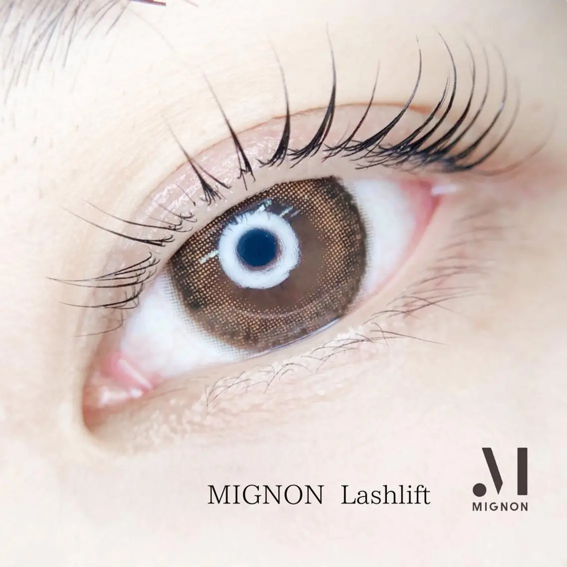 マツエク・マツパ マツパ MIGNON 冨田　当日予約のみのマツエク・マツパデザイン