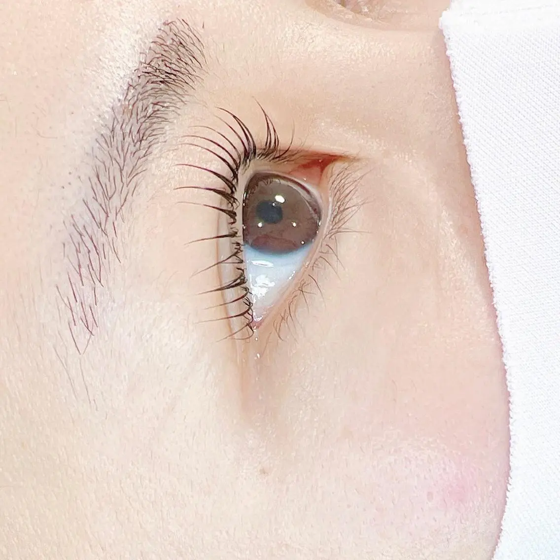マツエク・マツパ マツパ ecru. eyelashのマツエク・マツパデザイン