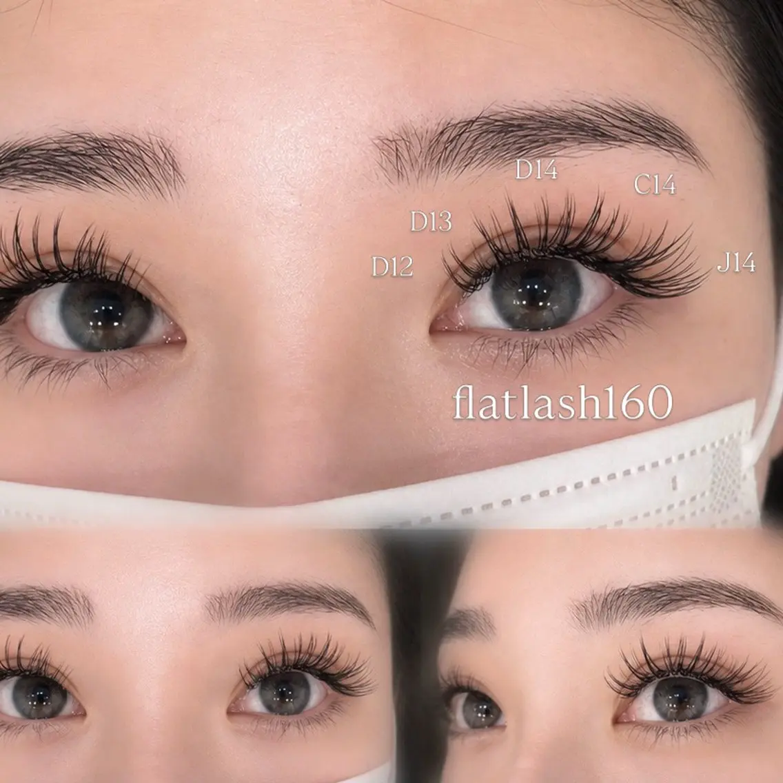 フラットラッシュ180本の写真