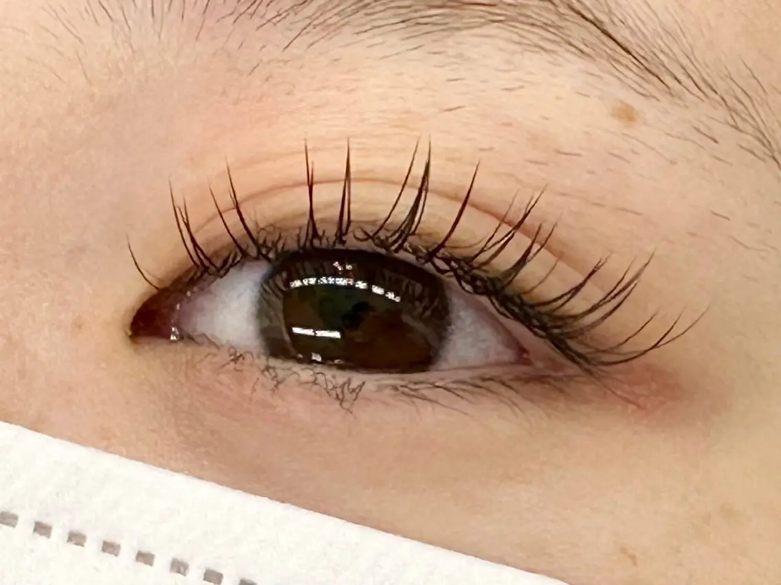 【ご新規様】フラットラッシュ100本(オフ込み)コーティング付の写真