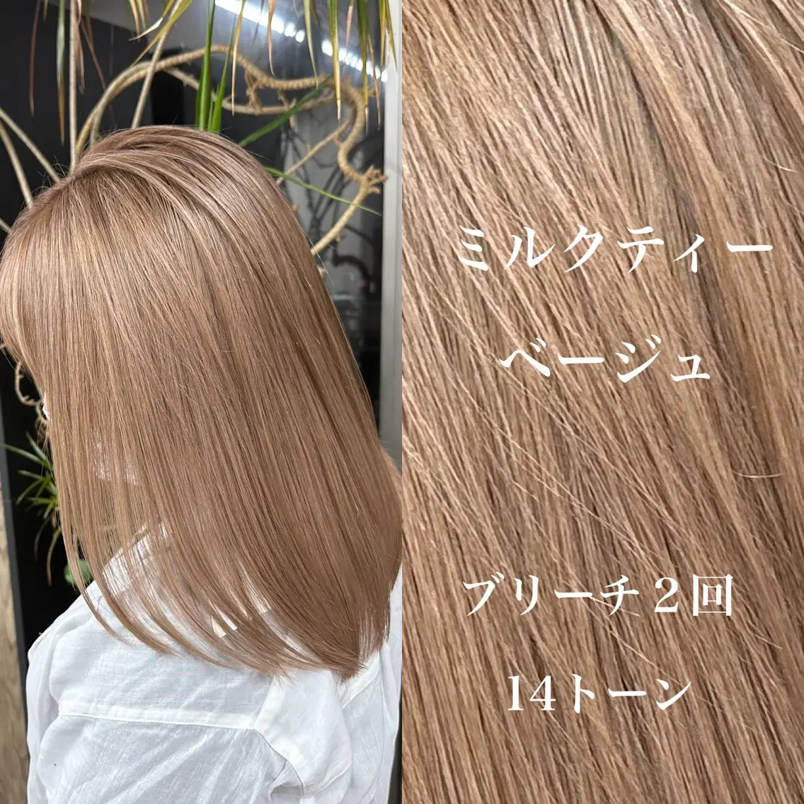 ミディアム カラー ⭐️ボブ/ショート りゅうしんのヘアスタイル