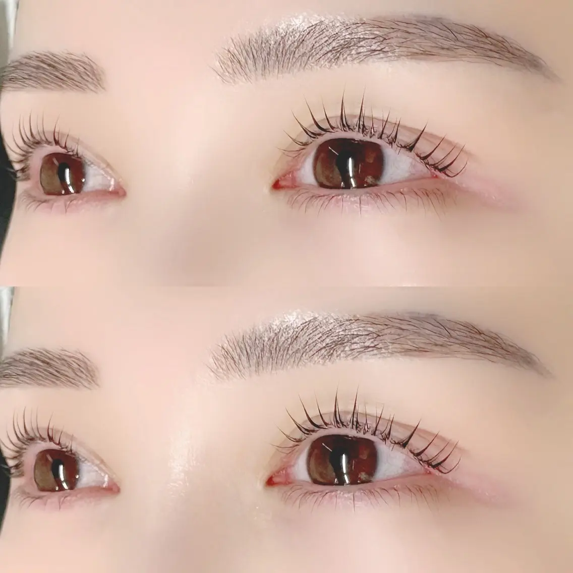🤎マツパ上+艶ブラックティント🤎パリジェンヌ変更+550円の写真