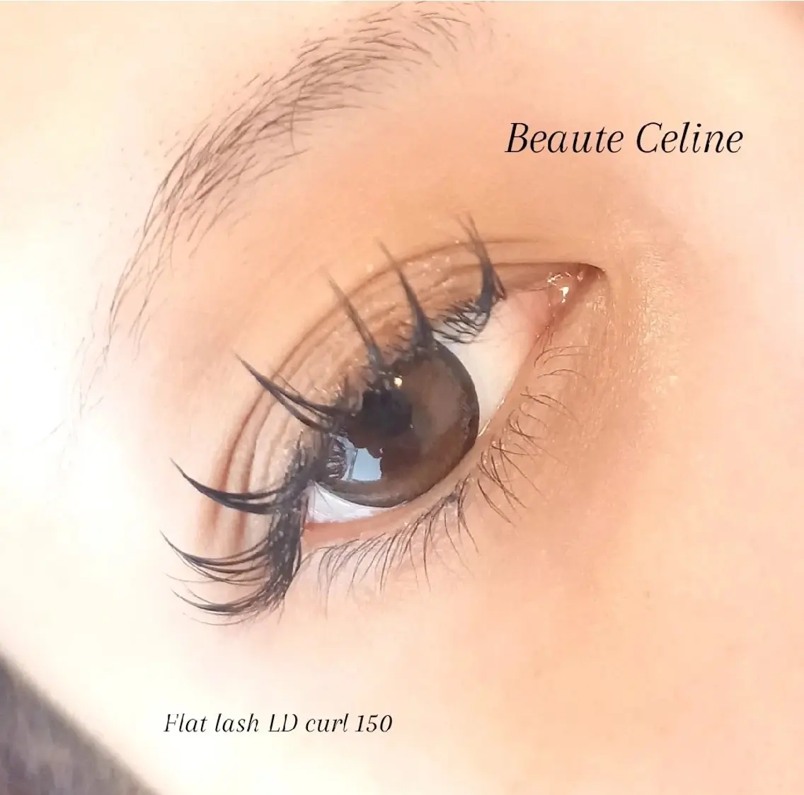 マツエク・マツパ Dカール マツエク LED✨beaute Celine🌛🌹のマツエク・マツパデザイン