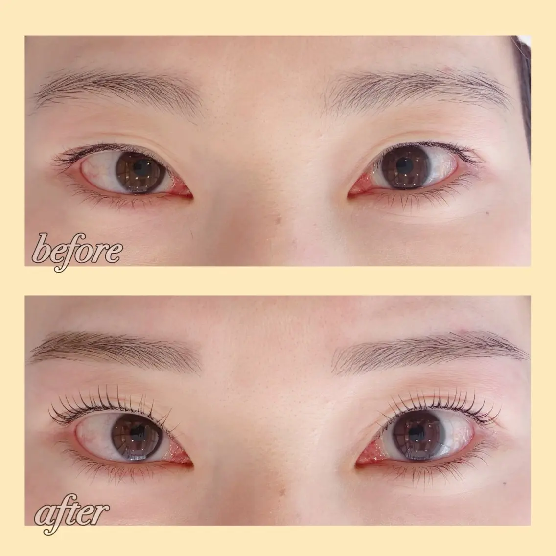 【✨新規OPEN限定✨】まつ毛パーマ+眉wax・HBL+メイク¥10,000→¥7,900の写真