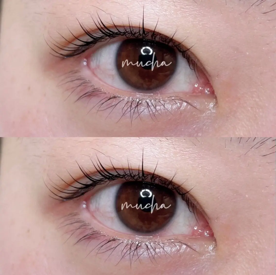 マツエク・マツパ eyelash muchaのマツエク・マツパデザイン