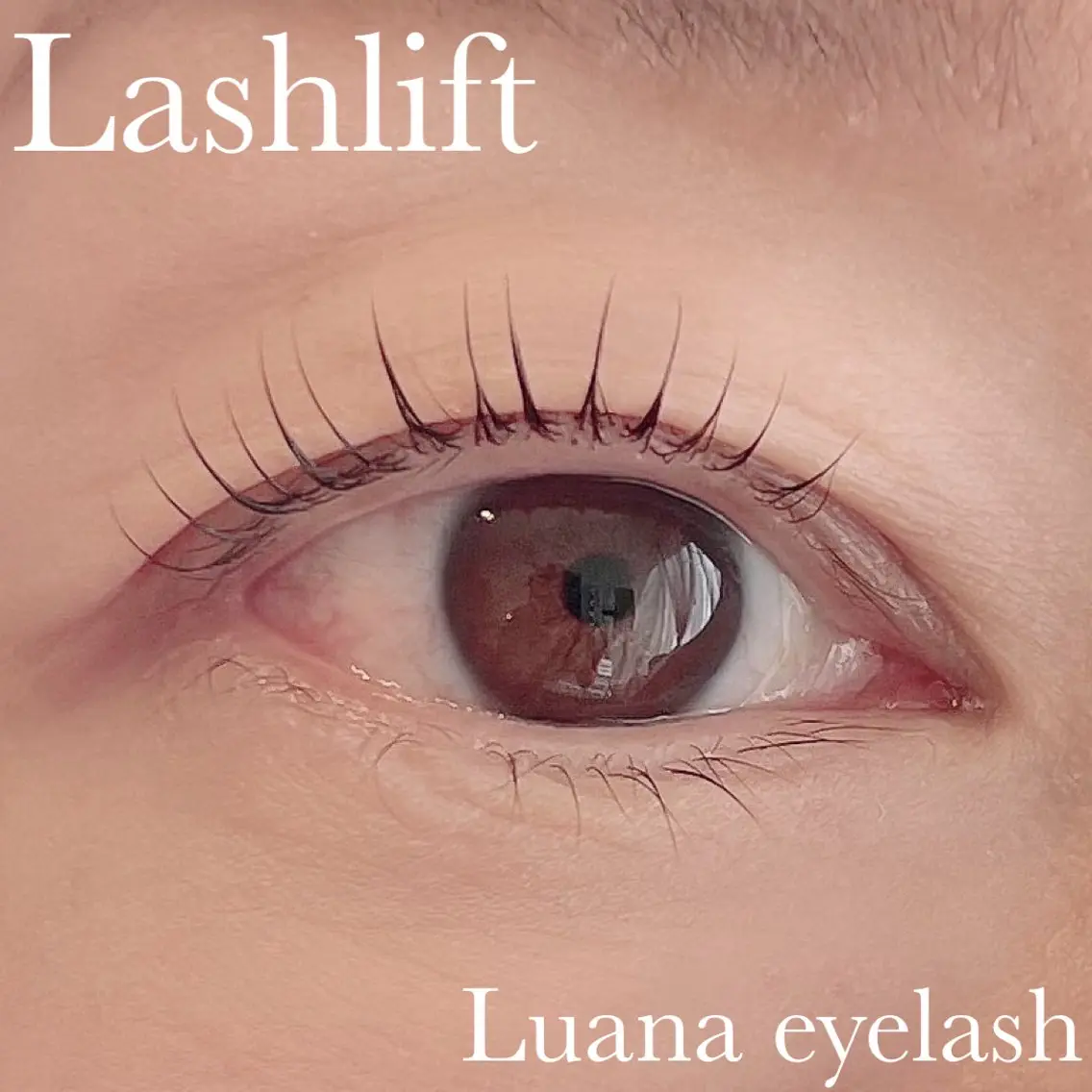 マツエク・マツパ マツパ Luana eyelashのマツエク・マツパデザイン