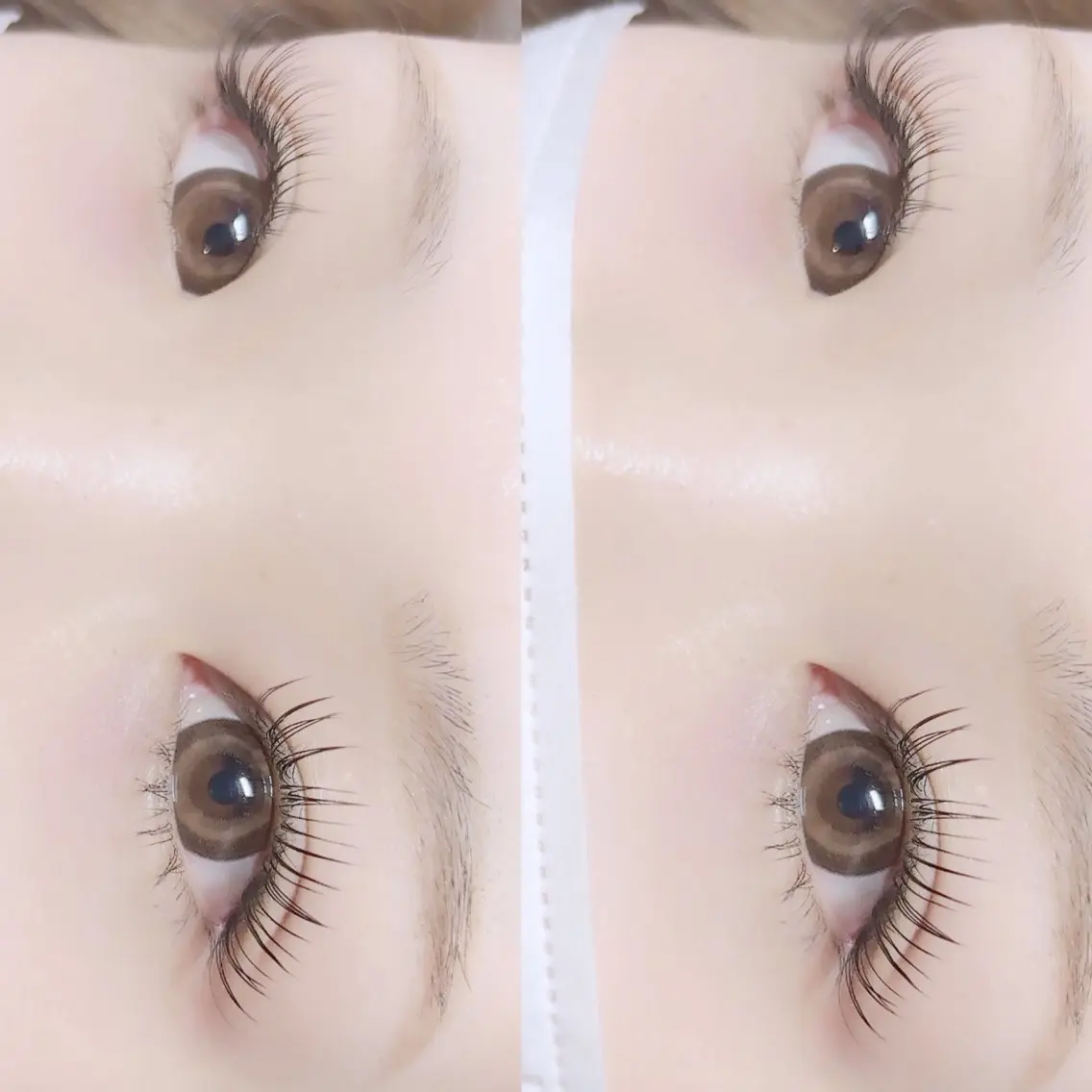 マツエク・マツパ ケラチンラッシュリフト apis eyeのマツエク・マツパデザイン