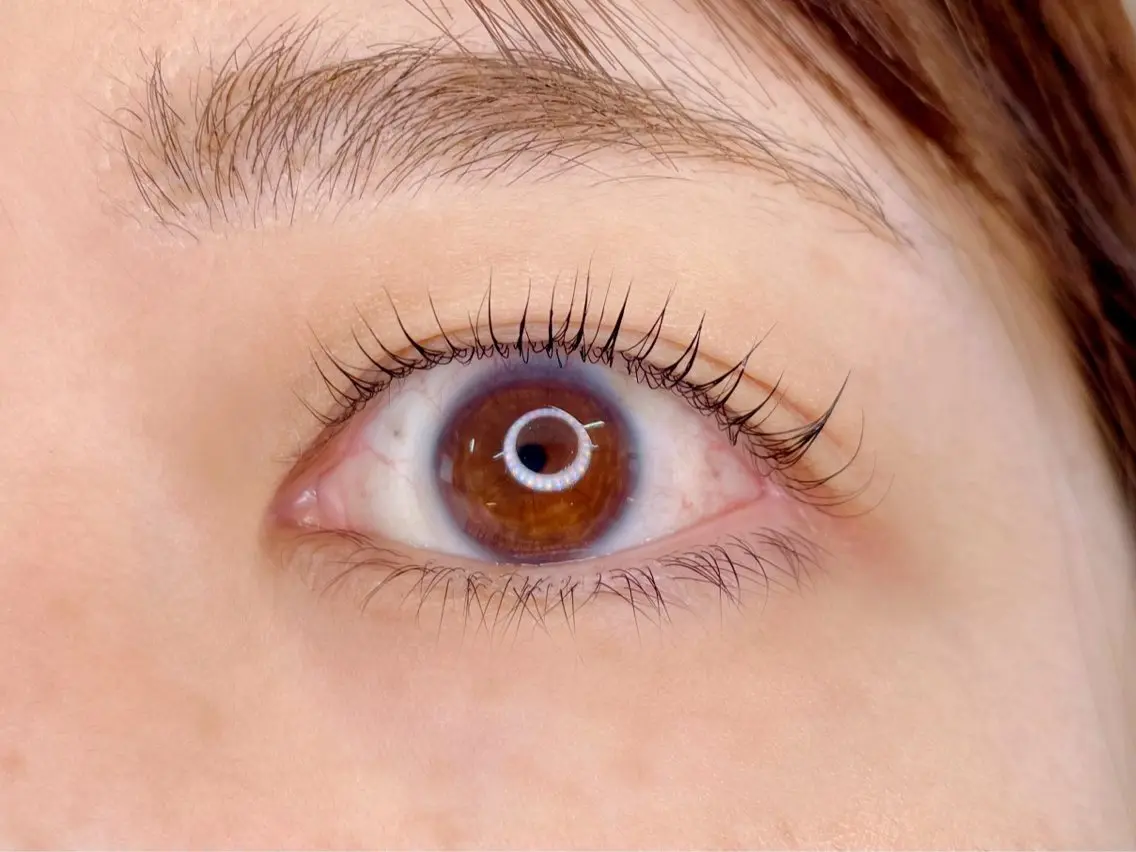 マツエク・マツパ ケラチンラッシュリフト 韓国風マツエク マツパ AYA 【eyelash】のマツエク・マツパデザイン