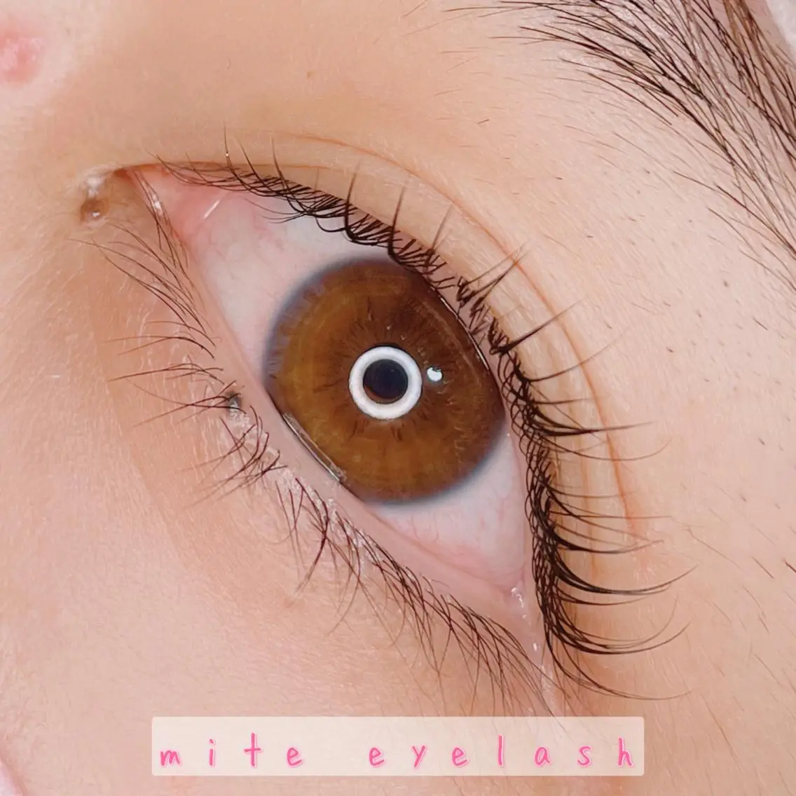 マツエク・マツパ mite eyelashのマツエク・マツパデザイン
