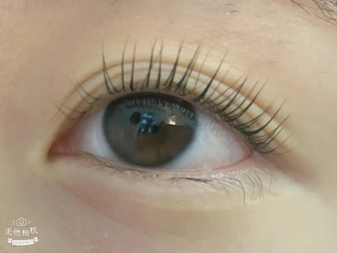 マツエク・マツパ BEL EYE BEAUTYアイ中野のマツエク・マツパデザイン