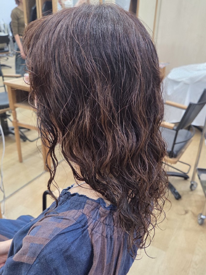 セミロング パーマ 新木 美優のヘアスタイル