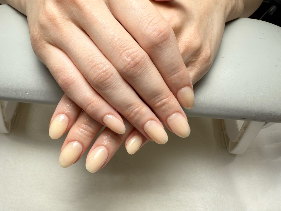 ワンカラー オフ無しの写真