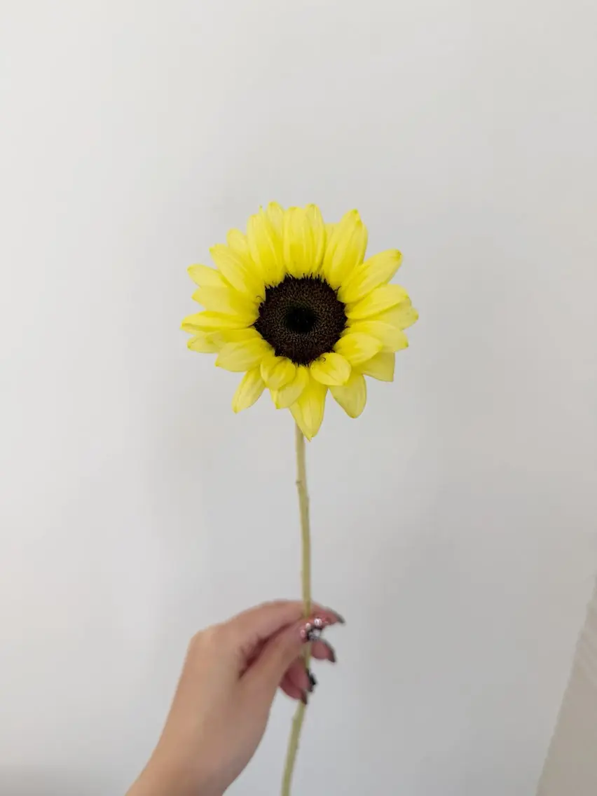 カット ヘアカラー トリートメント 🌻花屋併設🌻濱 幸帆のヘアスタイル