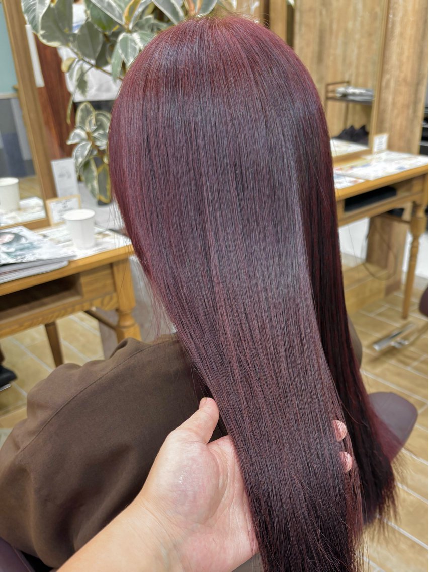 ロング カラー 池田 綾香のヘアスタイル