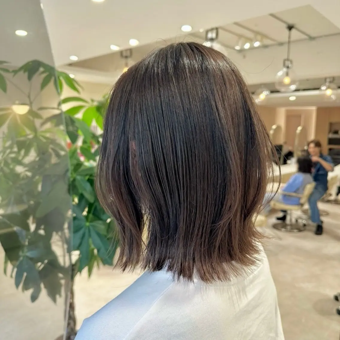 ショート カラー ボブレイヤー アッシュ アッシュブラウン ブラウンカラー ボブ カット ヘアカラー 透明感カラー🌿 グレージュ🐺陽介のヘアスタイル