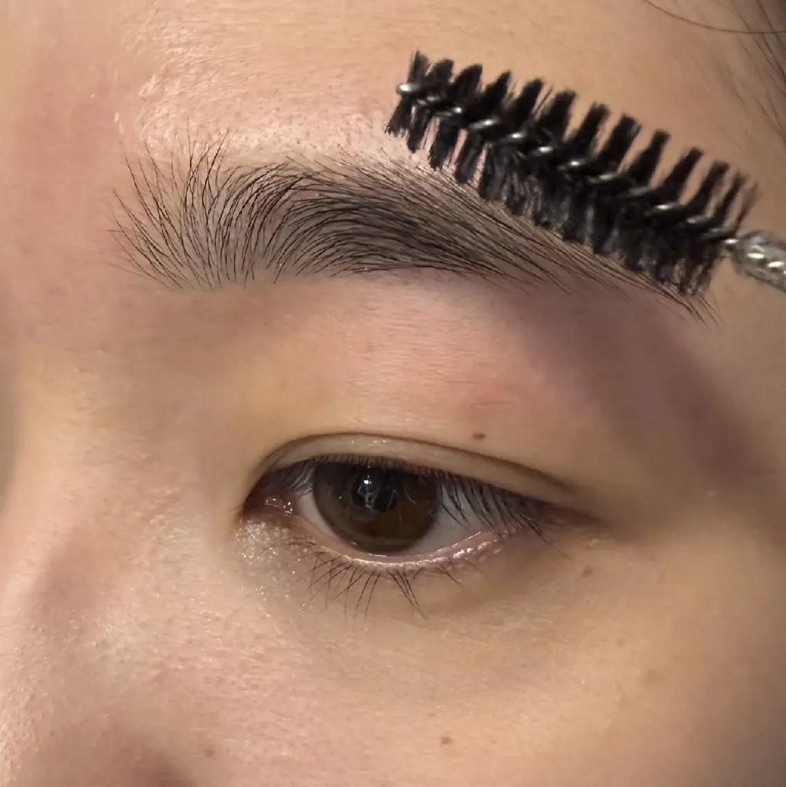 アイブロウ ワックス脱毛 Bonny Eye まつげと眉毛の眉毛・アイブロウイメージ