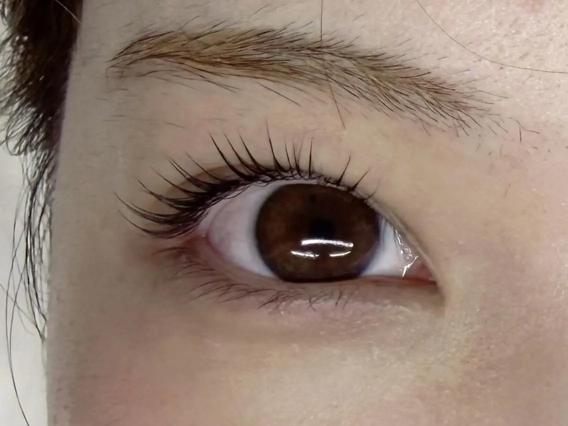 マツエク・マツパ 束感まつ毛 マツパ eyelash lotusのマツエク・マツパデザイン