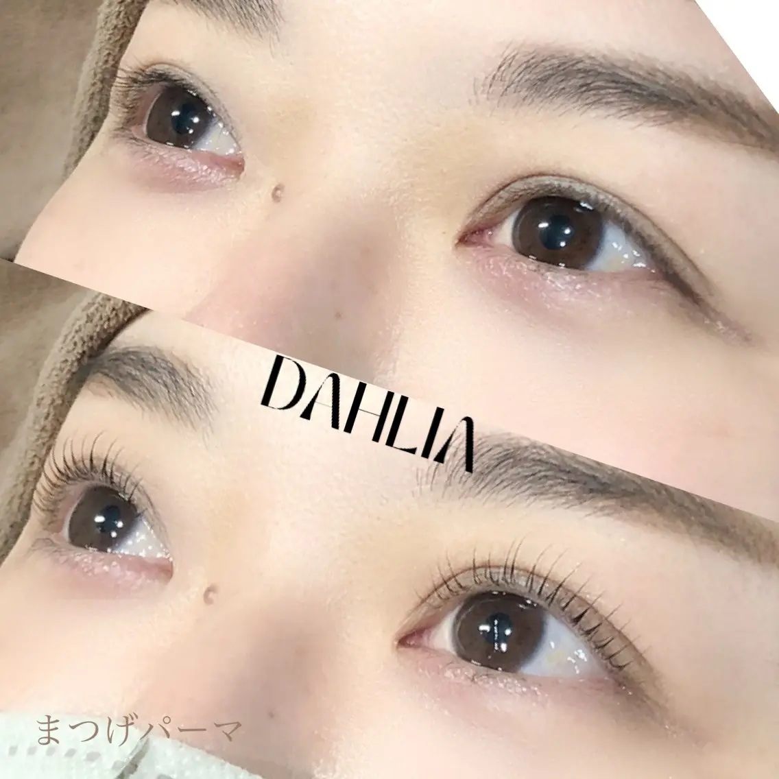 マツエク・マツパ まつげパーマ Dahliaダリア 斉藤のマツエク・マツパデザイン