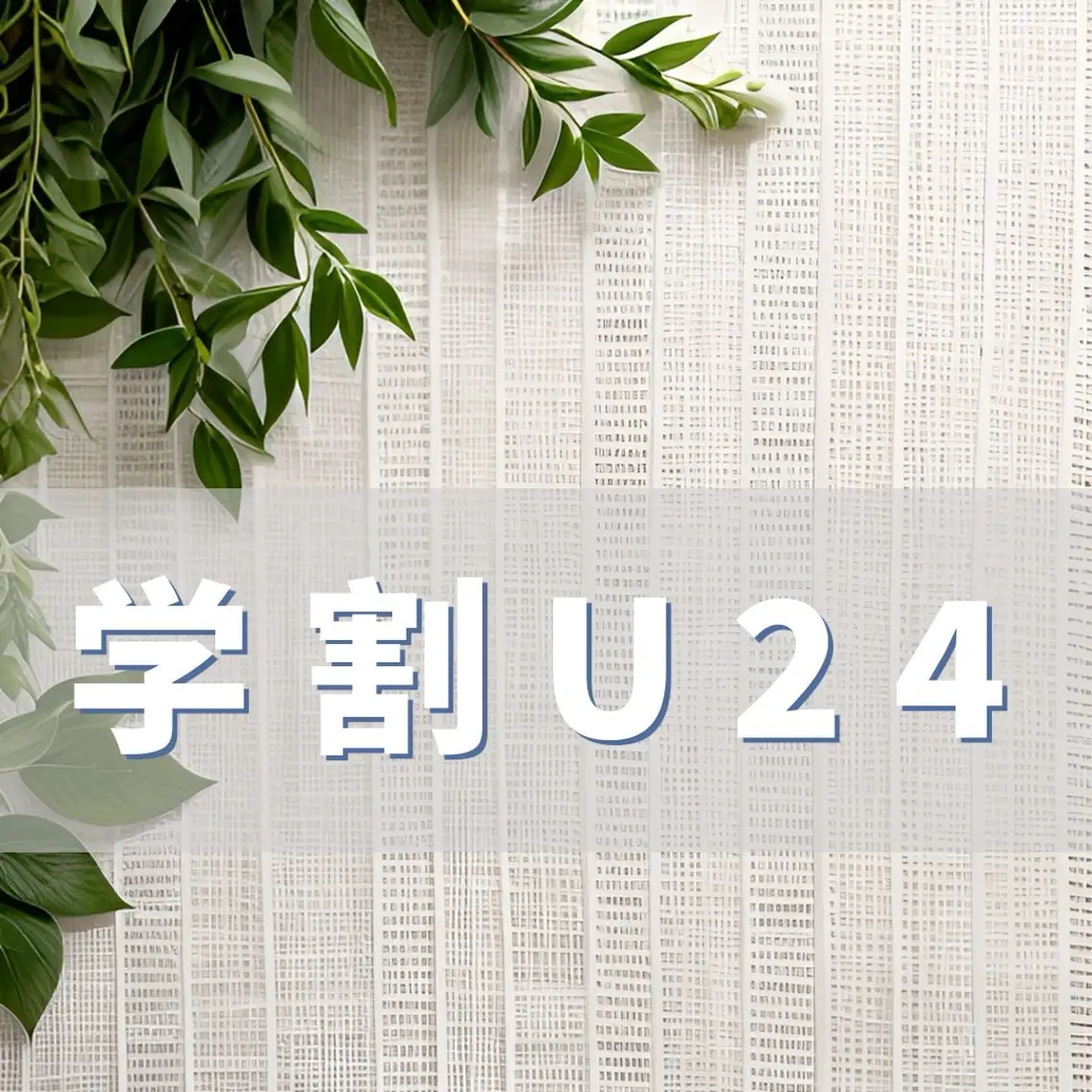 [学割U24]レディース⭐︎足上下.腕上下.脇20,000円→16,000円(回数により更に割引)上記以外部位20%オフの写真