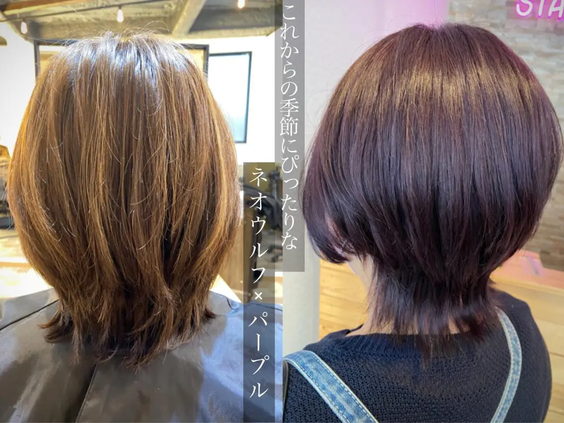 ミディアム ＳＨＩ ＺＵのヘアスタイル