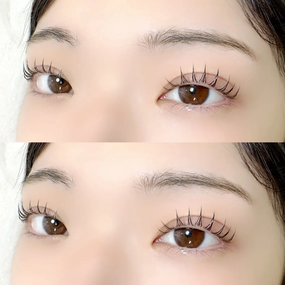 ご新規様限定//💜パリジェンヌラッシュリフトの写真