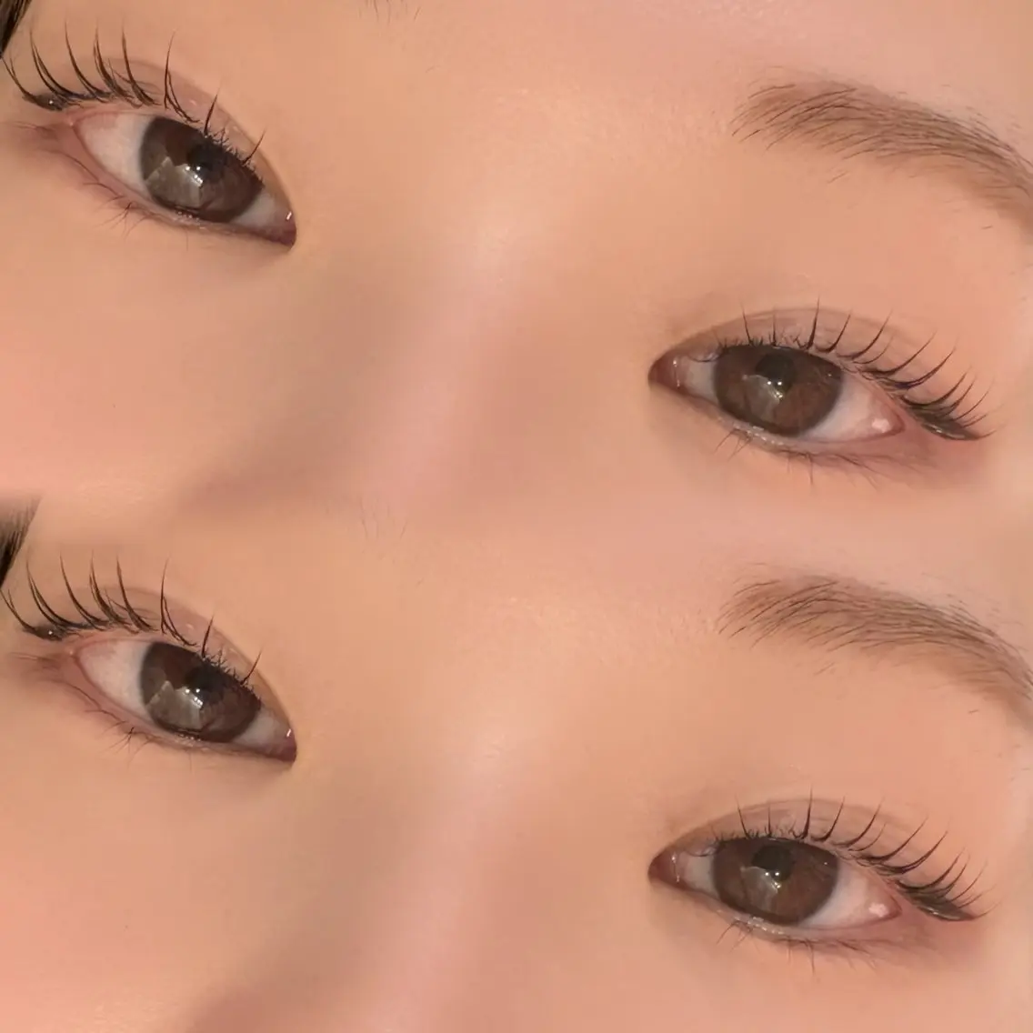 マツエク・マツパ パリジェンヌラッシュリフト FOXYLASH Hoichiの眉毛・アイブロウイメージ