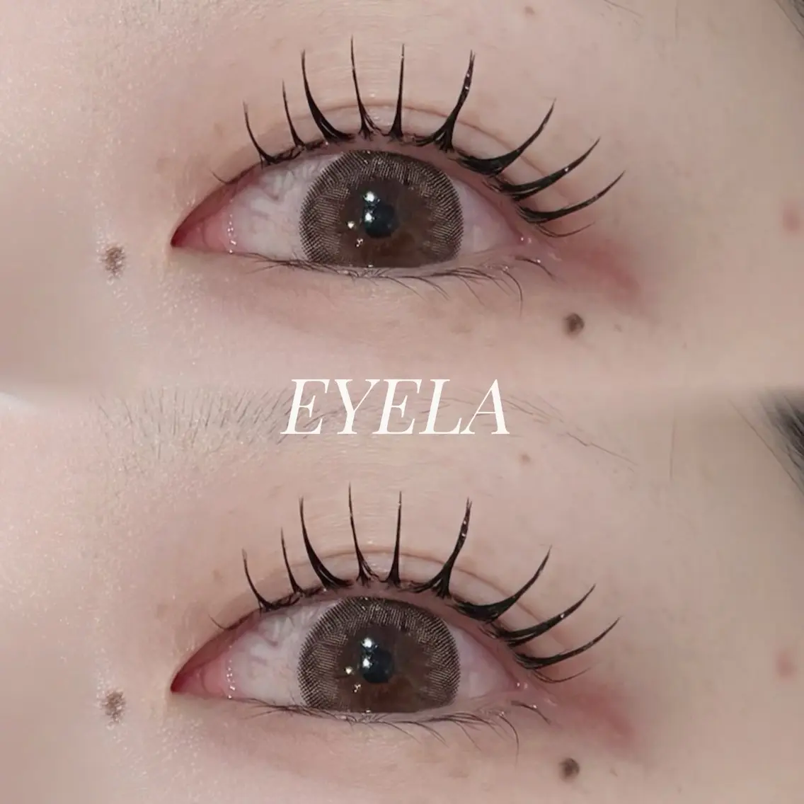 マツエク・マツパ EYELA 宮城のマツエク・マツパデザイン