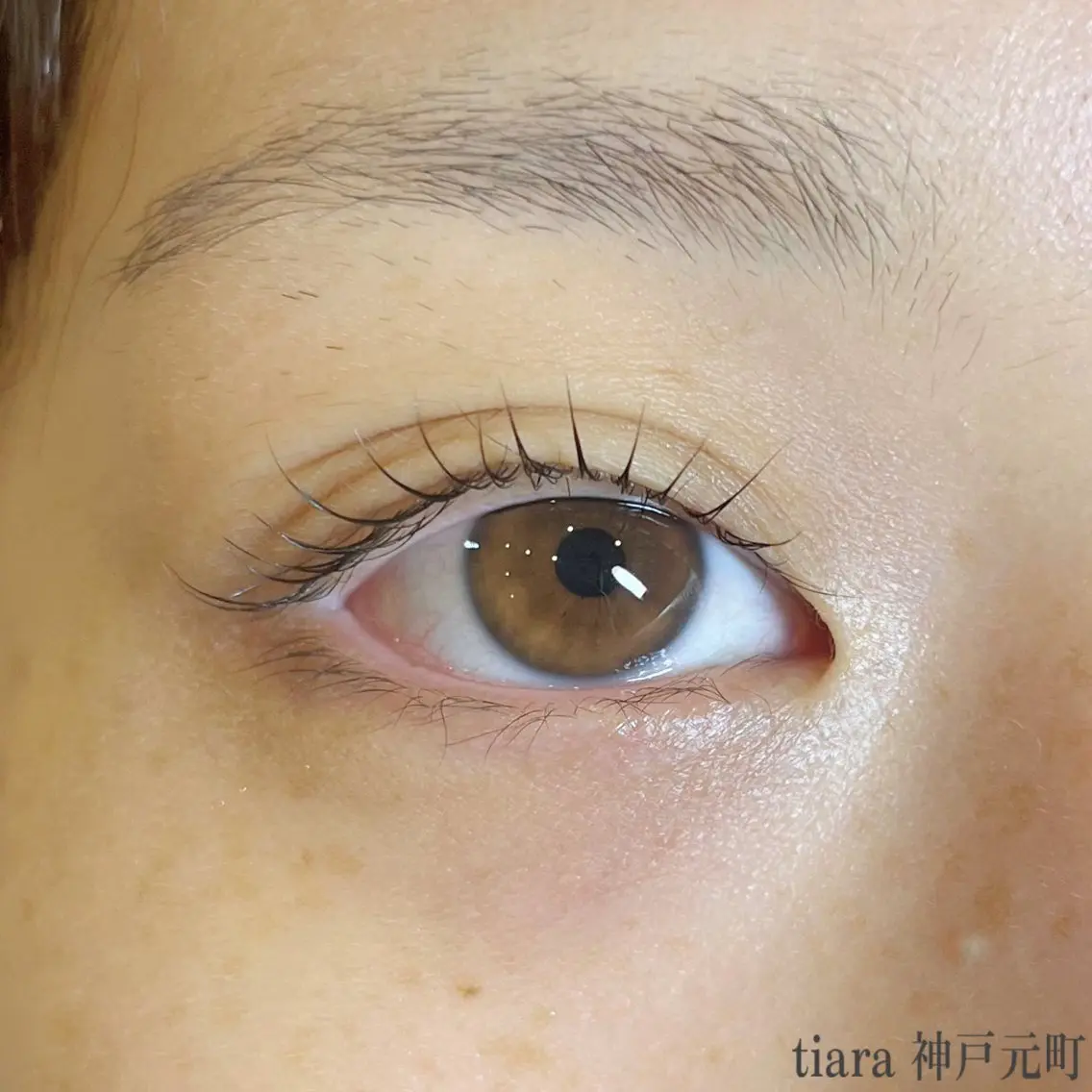 マツエク・マツパ まつげパーマ 一重×まつ毛パーマ eyelash / mizukiの眉毛・アイブロウイメージ