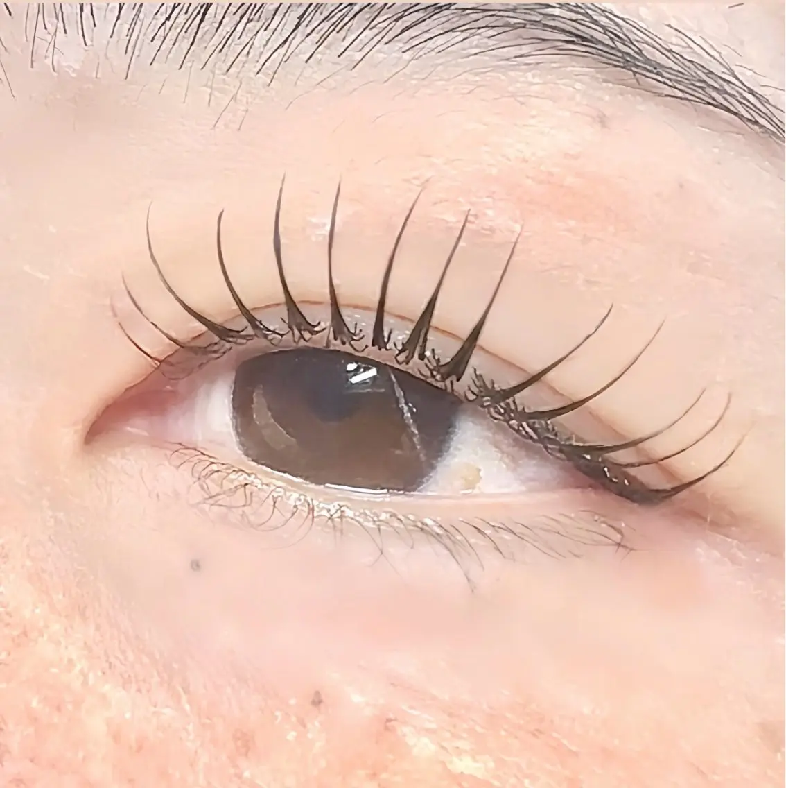マツエク・マツパ Cカール 一重×まつ毛パーマ eyelash salon VOSSのマツエク・マツパデザイン