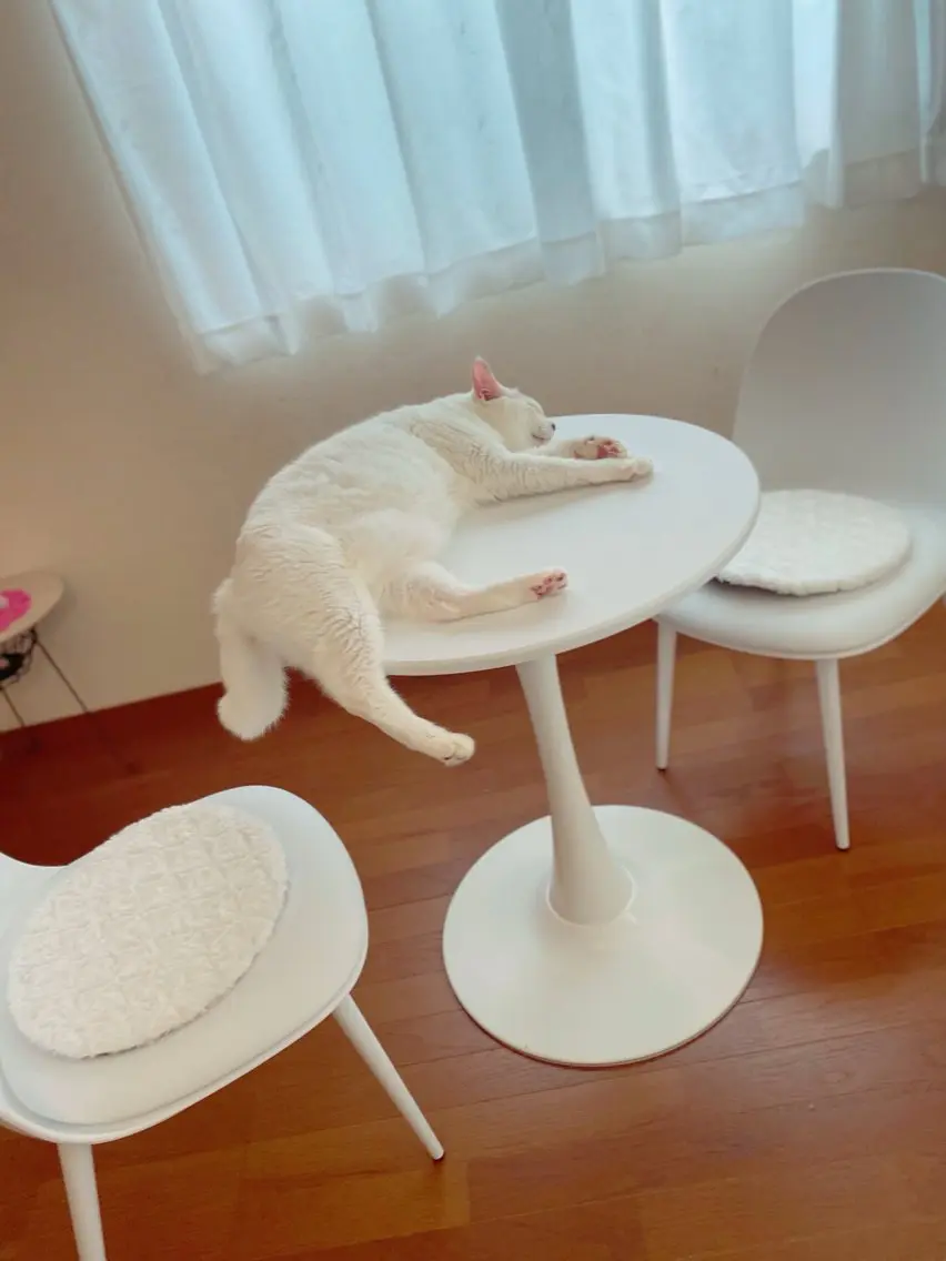 🌿茉莉愛🌿 ドライヘッドスパのその他イメージ