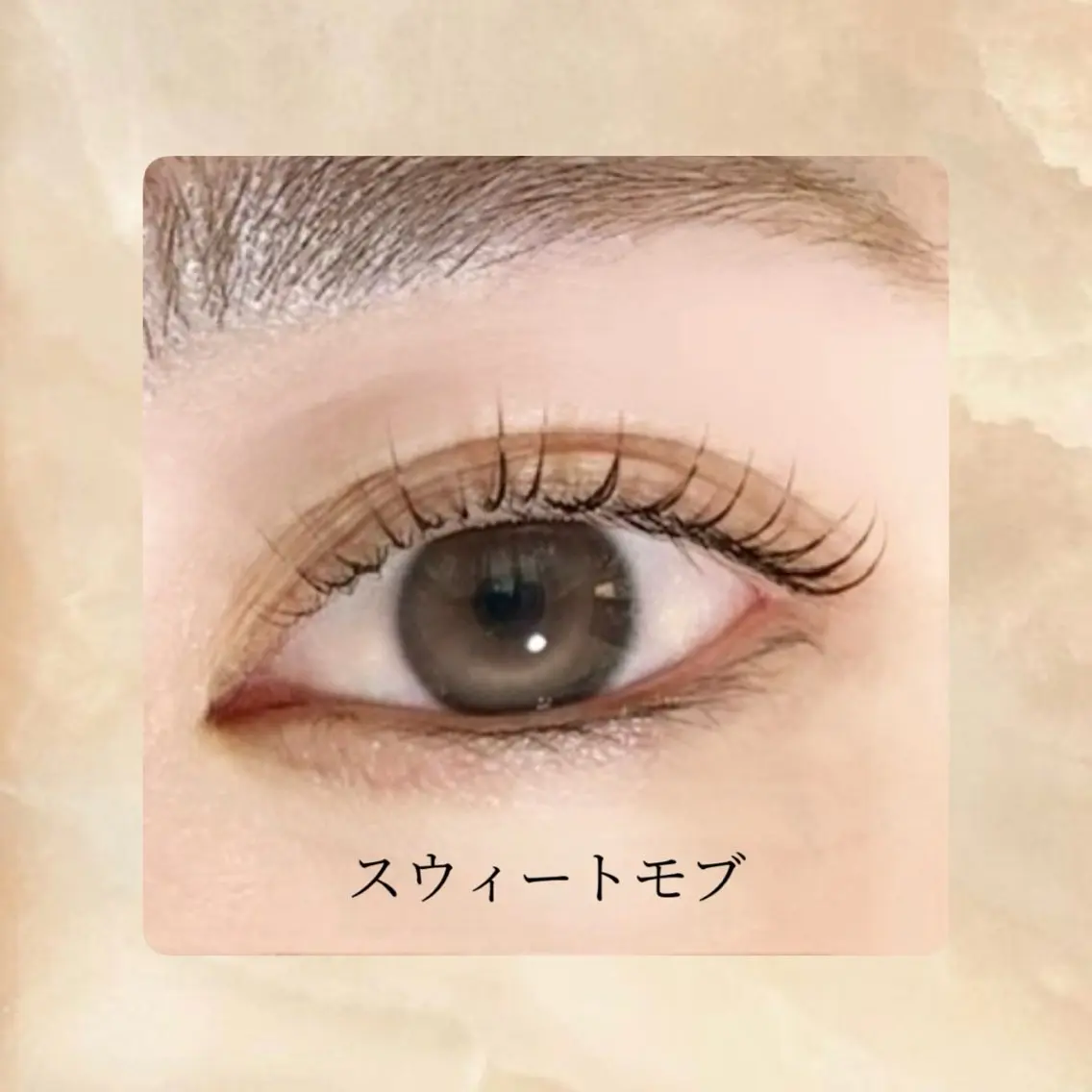 【まつげパーマ🌟ラウンド】スウィートモブ ¥3,480の写真
