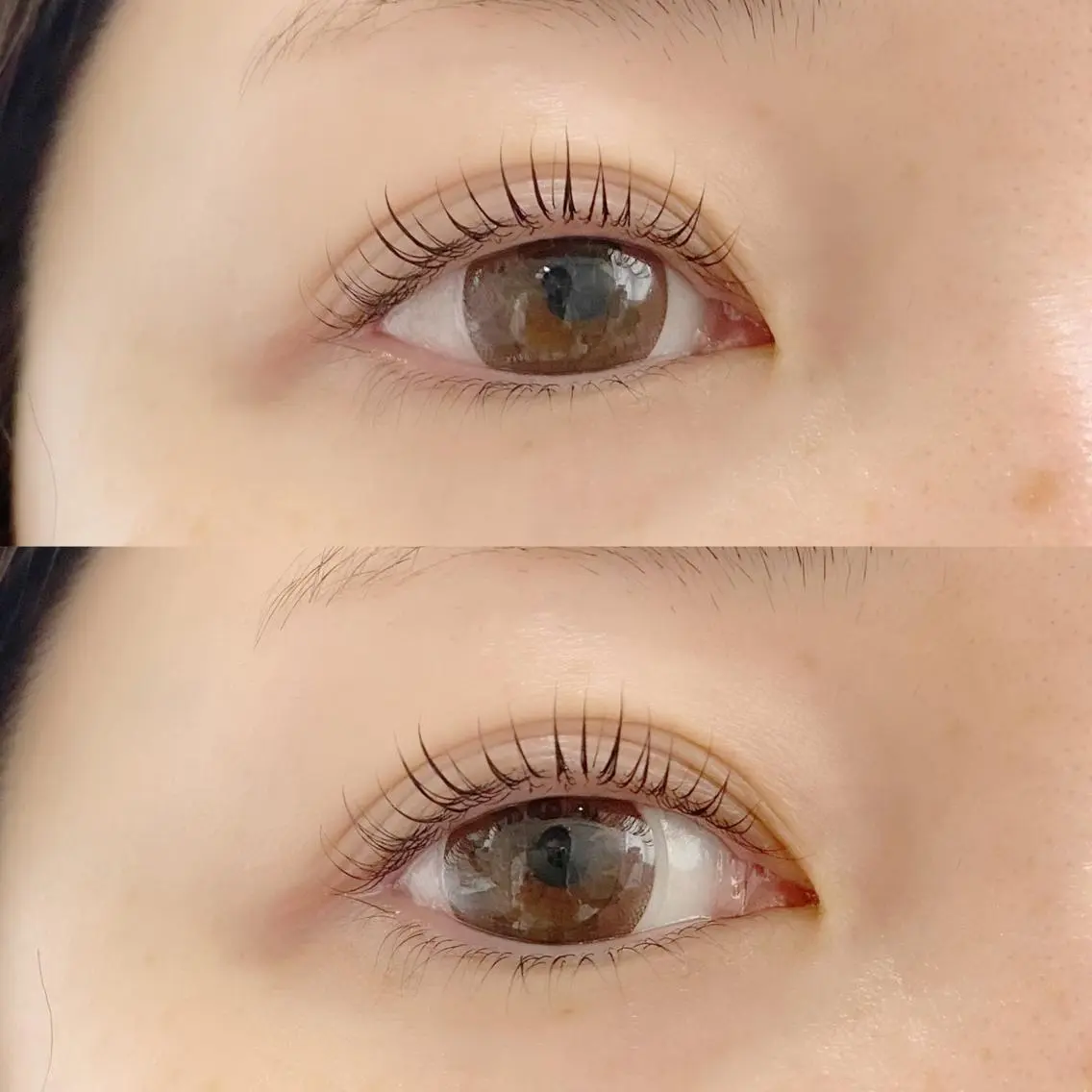 マツエク・マツパ 一重×まつ毛パーマ eyelash "Koa"🕊🤎のマツエク・マツパデザイン