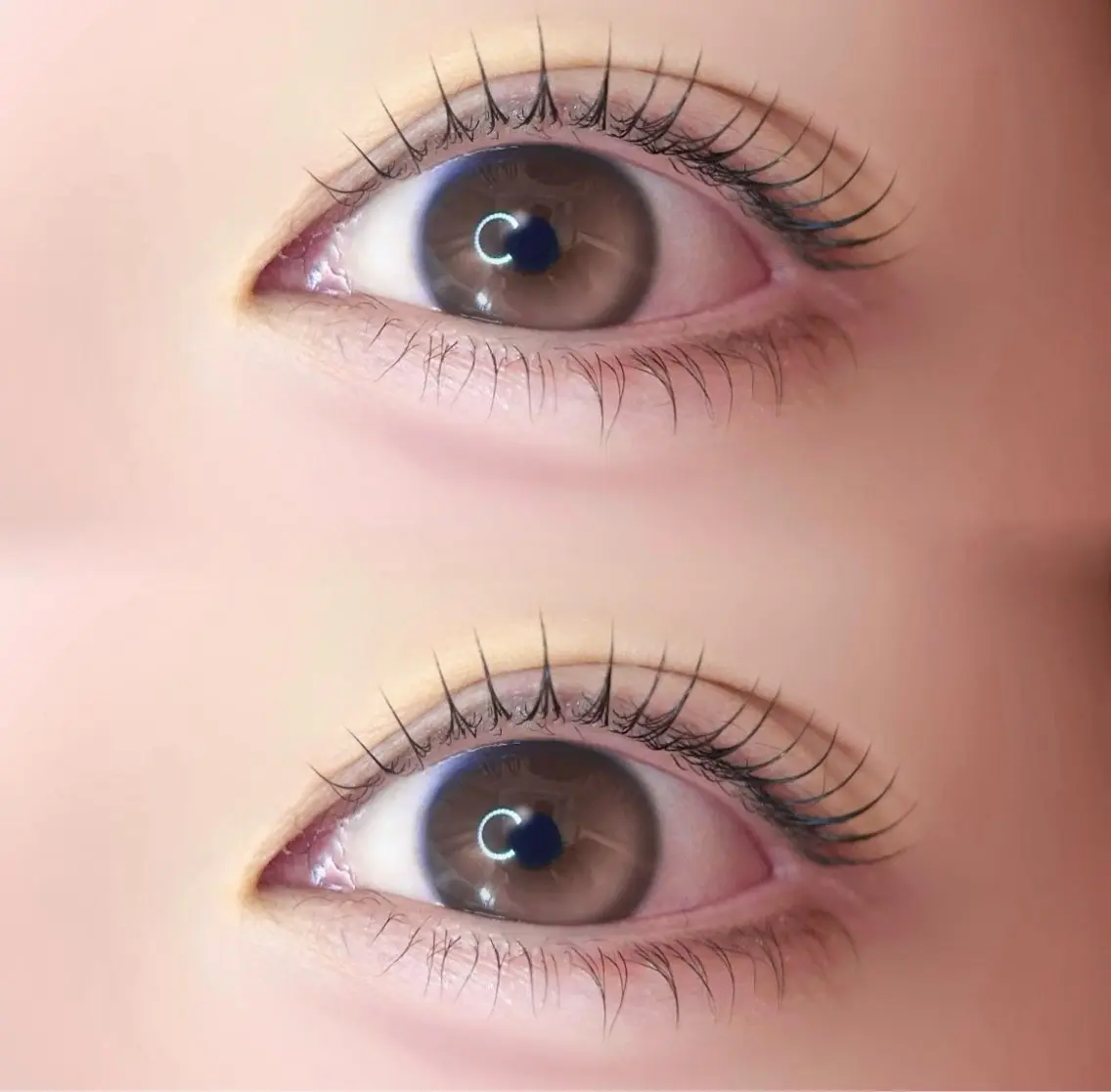 マツエク・マツパ 。ꕤ°₊sakura 束感まつ毛⊹𓈒✿のマツエク・マツパデザイン