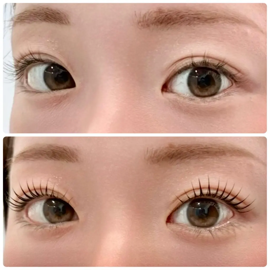 1人1人に似合わせパリジェンヌラッシュリフト👁️の写真