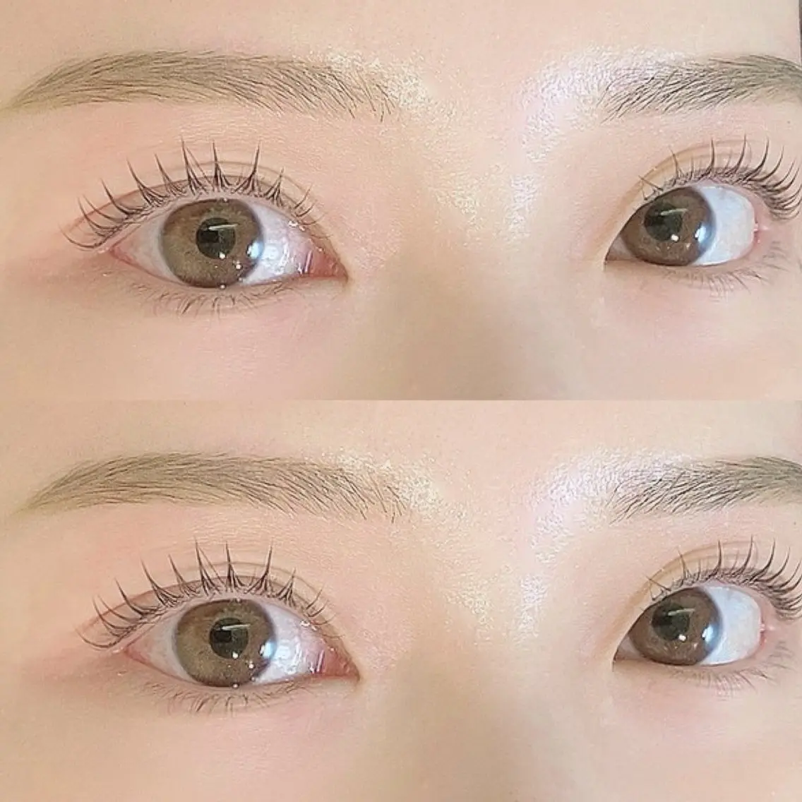 美眉スタイリング&まつ毛パーマ🎀(WAX/毛抜き/カット/メイク)の写真