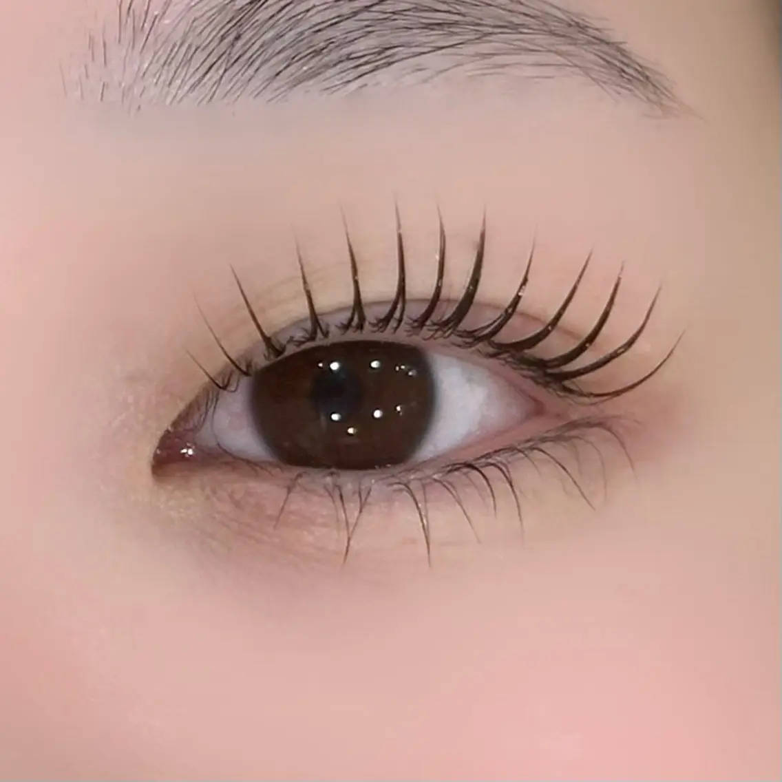 💚上下まつ毛パーマ💚の写真