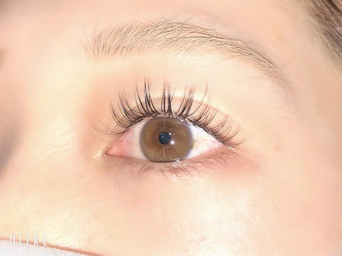 マツエク・マツパ フラットラッシュ アップワードラッシュ 眉毛専門店brow art上野店 阿部の眉毛・アイブロウイメージ