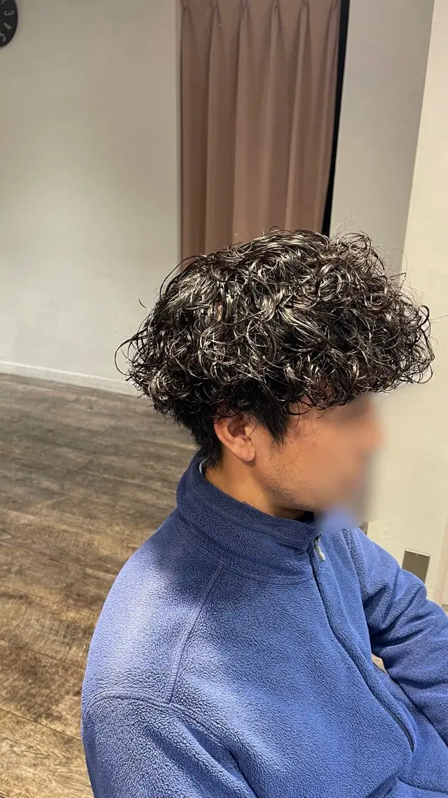 パーマ メンズ メンズパーマ プードルパーマ プードルパーマ カット パーマ 大人男子の メンズパーマのヘアスタイル