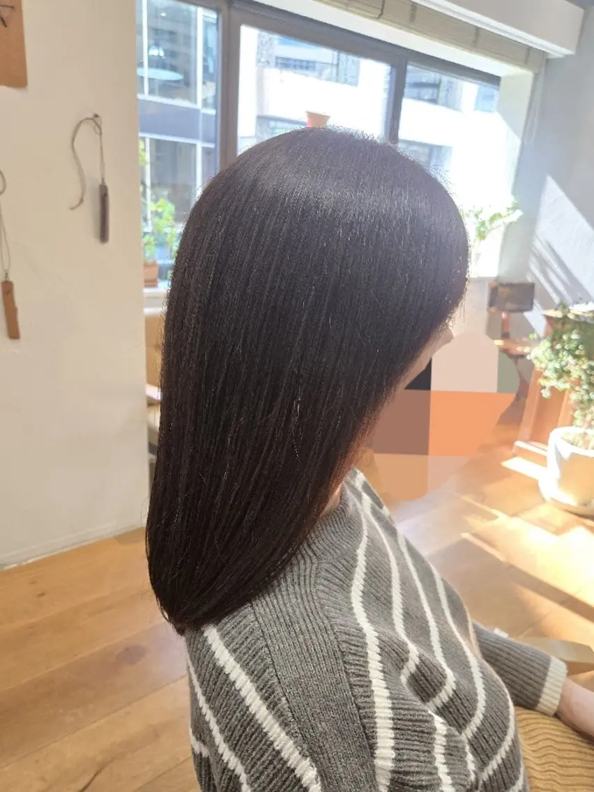 セミロング アッシュ カット ヘアカラー 銀座knoll🌿 【平日朝限定cut】のヘアスタイル