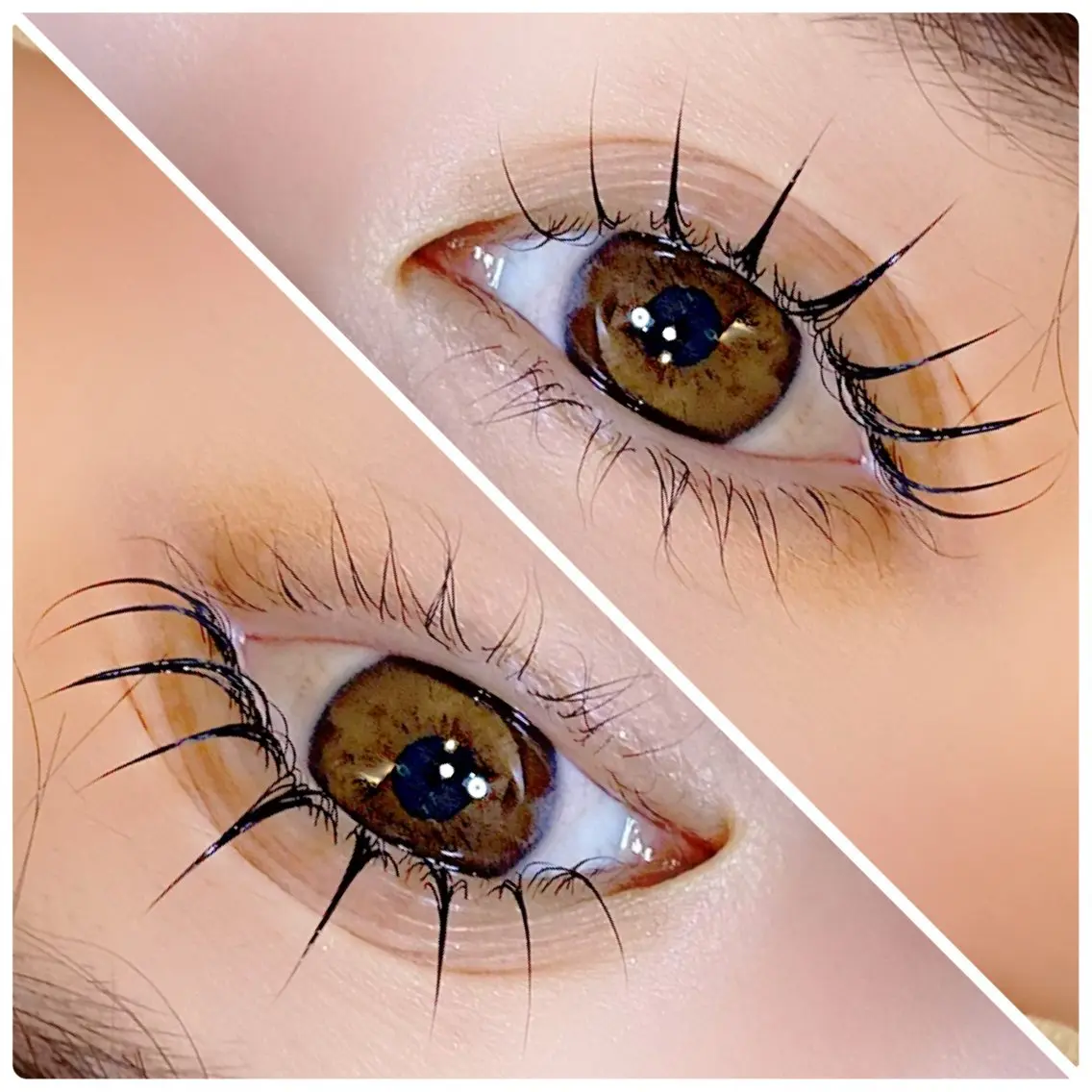 パンダロッド♪真っ直ぐ扇状のパーマで最上級デカ目に！の写真