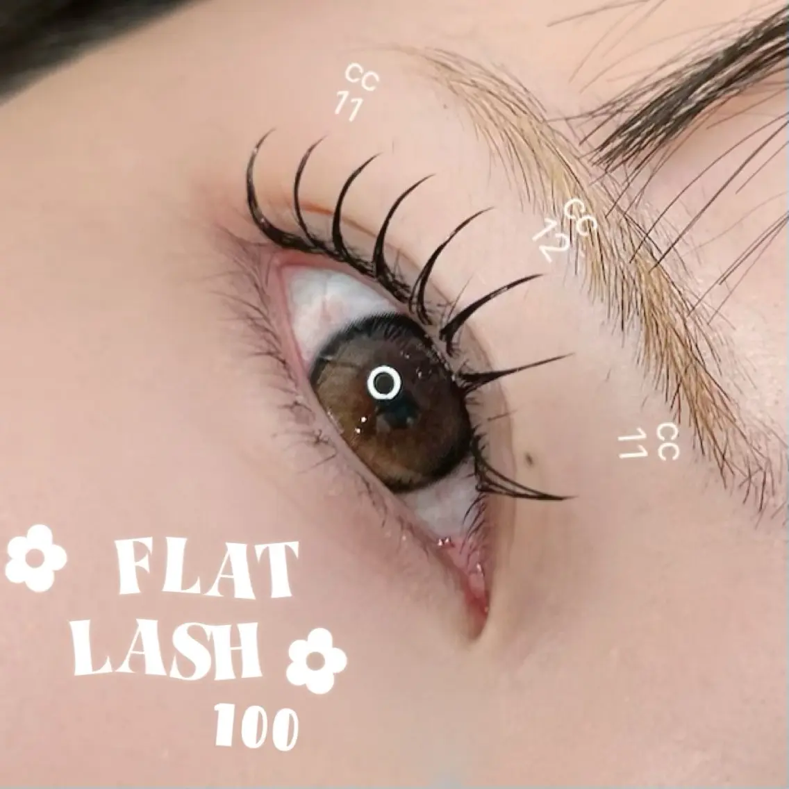 マツエク・マツパ フラットラッシュ ナチュラル マツエク elua eyelashの眉毛・アイブロウイメージ