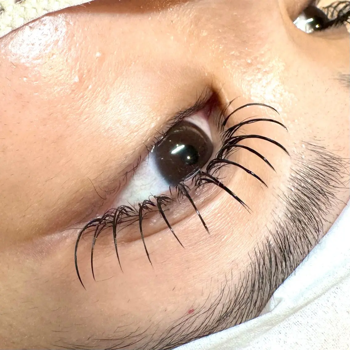 マツエク・マツパ 束感まつ毛 フラットラッシュ ナチュラル マツエク diarblue鎌倉 🖤Reiのマツエク・マツパデザイン