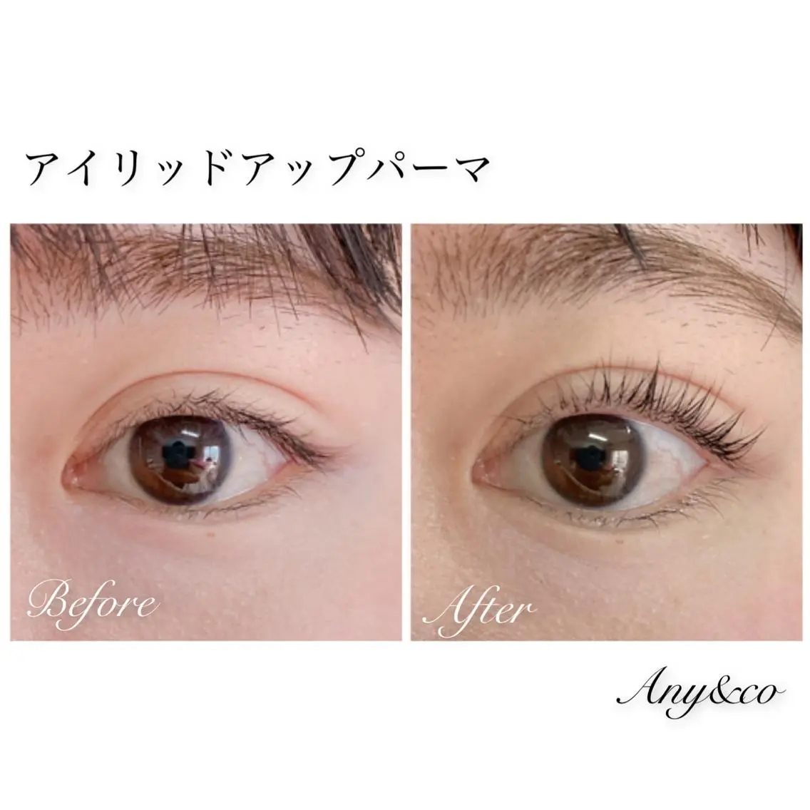 マツエク・マツパ アイリッドアップパーマ Any&co 【エニコ】のマツエク・マツパデザイン