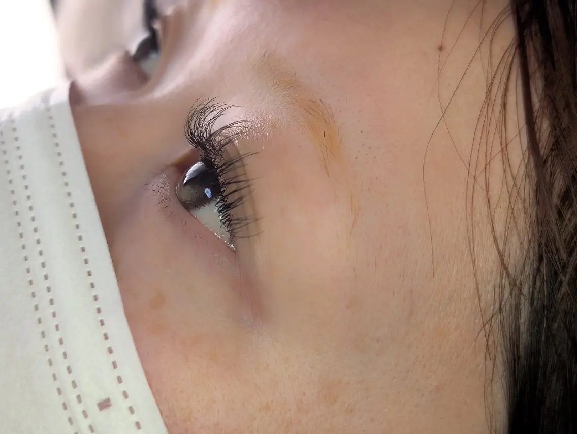 マツエク・マツパ Dカール フラットラッシュ マツエク EYELASH lino　合志市のマツエク・マツパデザイン