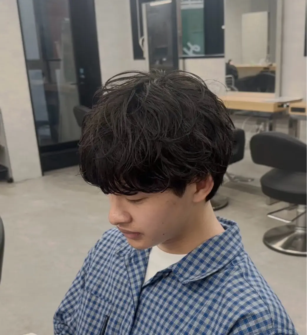 ショート カラー パーマ ハイライトカラー メッシュ ハイライト ショートヘア 縮毛矯正 福井祥太／海外風 /プードルパーマのヘアスタイル