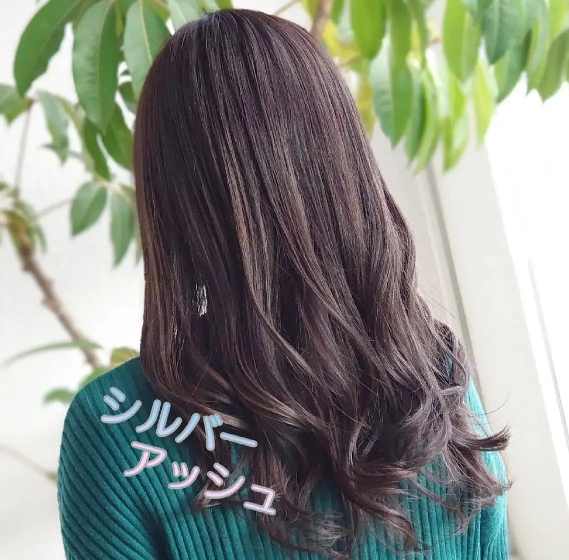 カラー アッシュ 透明感カラー シルバー シルバーアッシュ トリートメント 中村 恵二のヘアスタイル