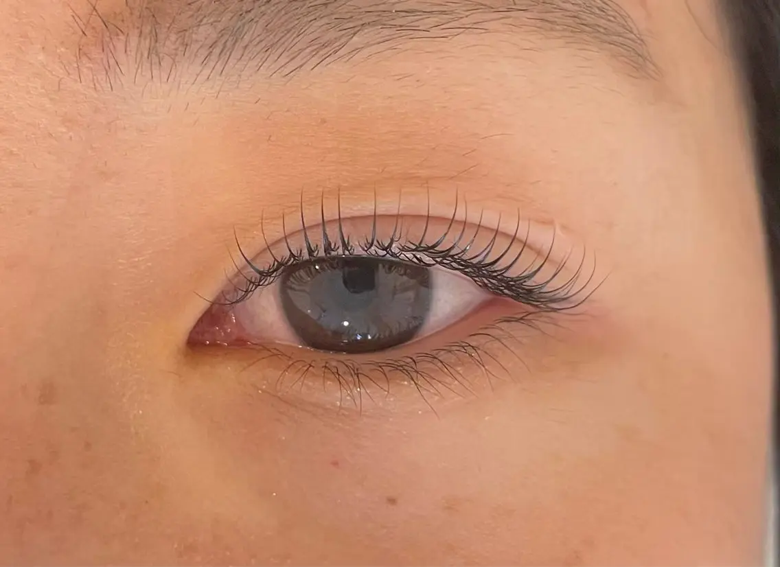 マツエク・マツパ Daisy lash 神戸三宮店のマツエク・マツパデザイン